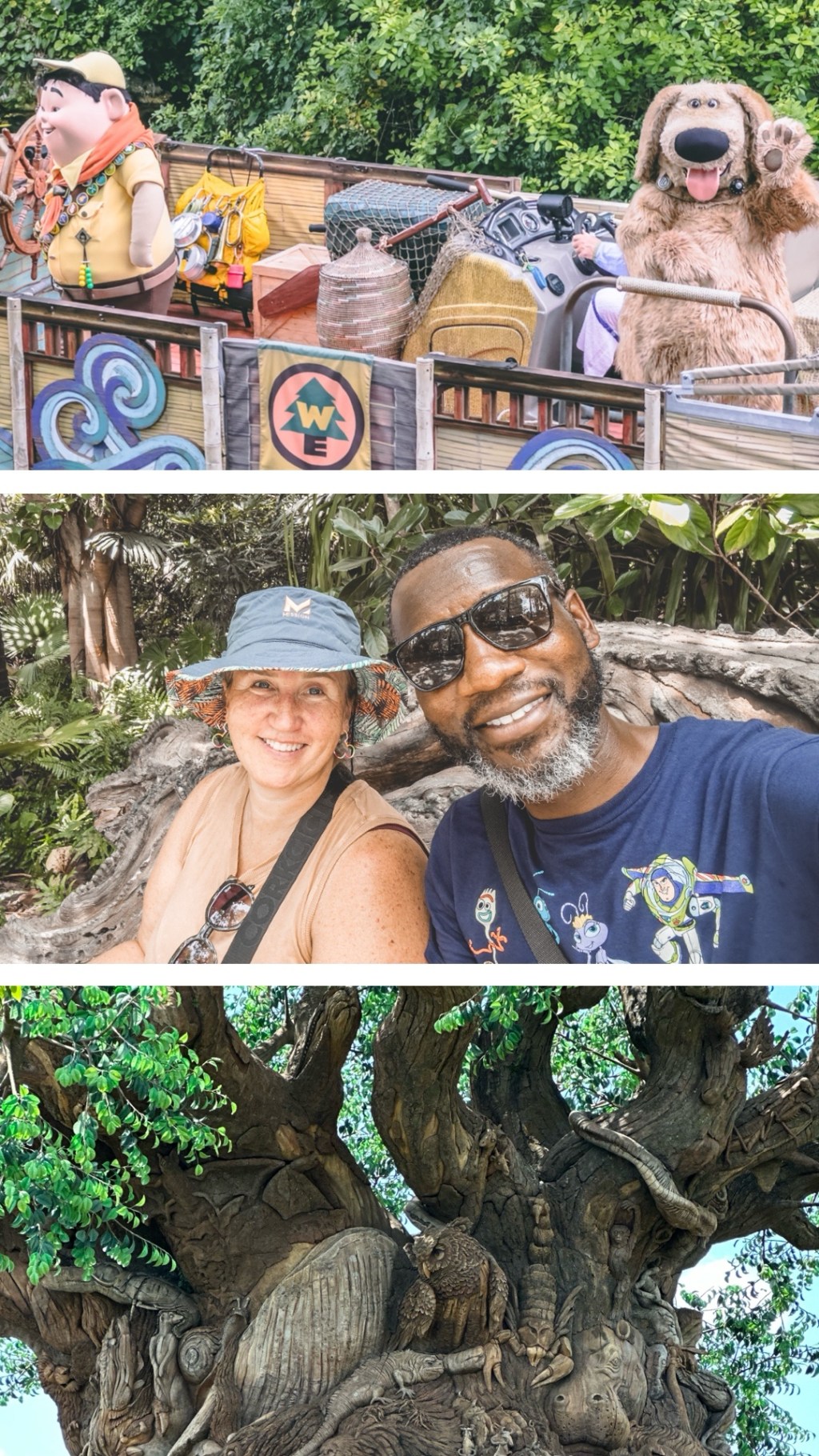 We do Animal&nbsp;Kingdom.